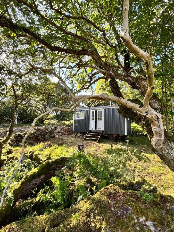 Villa The Hazel Hut Westport Exterior foto